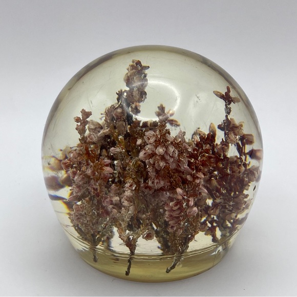 Art Vintage 196s Resin Paperweight Batch Of Dried Flowers Tabletop